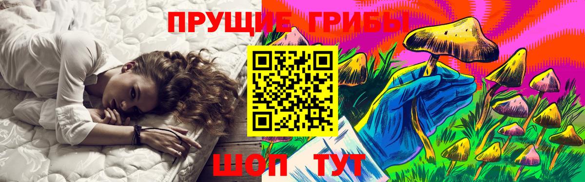 Псилоцибиновые грибы Cubensis Кропоткин