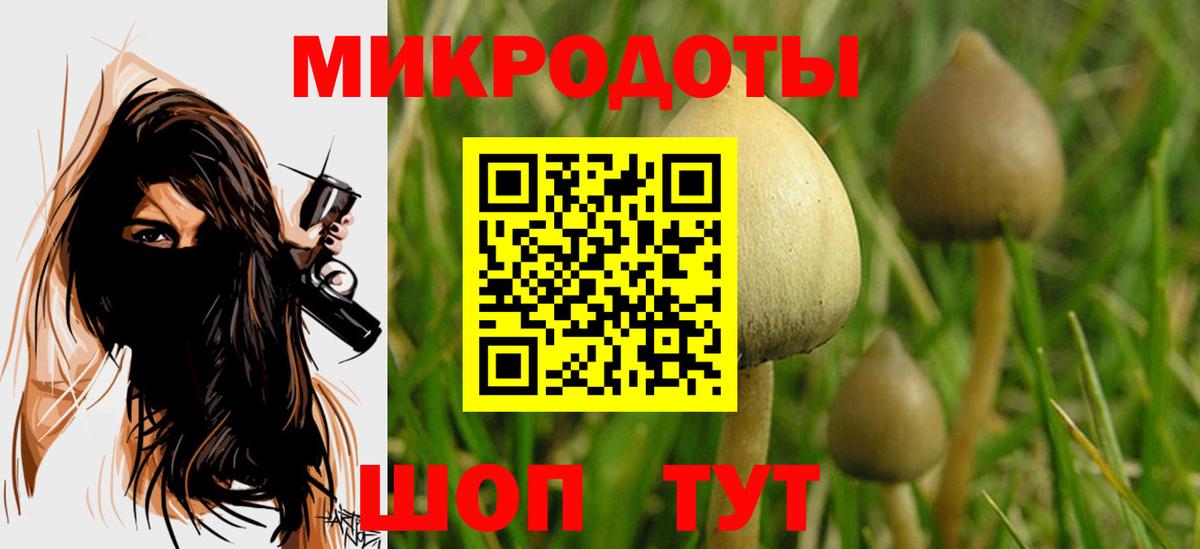 Кропоткин  Псилоцибиновые грибы Psilocybe  Галлюциногенные грибы прущие грибы  сколько стоит  Вход с VPN 